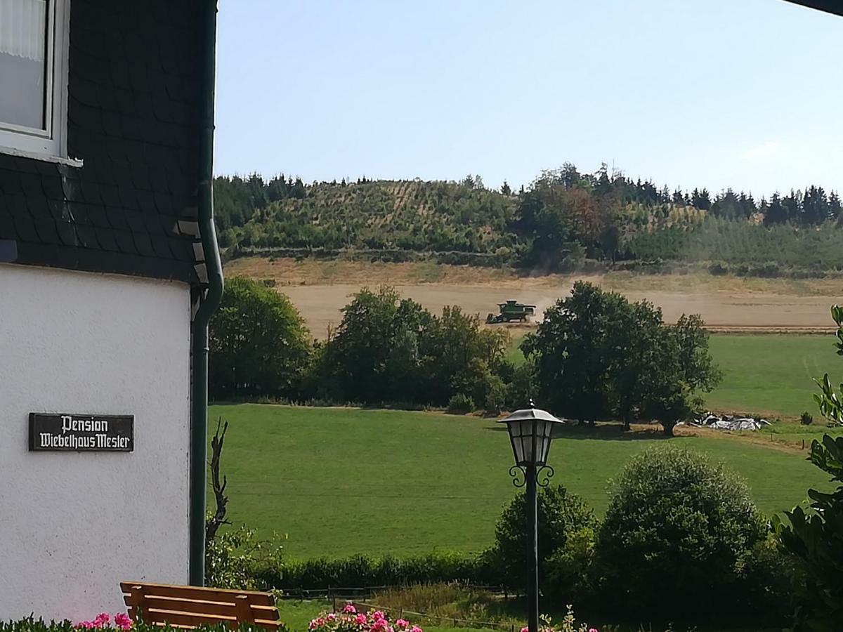 Bauernhofpension Wiebelhaus-Mester Lennestadt Exterior foto